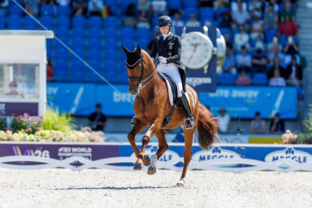 AACHEN - FEI World Championships 2026, AACHEN - FEI World Championships 2026 HEMMER Katharina (GER), Denoix PCH FEI Dressage World Championship, WM, Weltmeisterschaft Grand Prix de Dressage Team Finale & Einzelqualifikation Lambertz-Preis Aachen, Reitstadion Soers 12. August 2026 - *** AACHEN FEI World Championships 2026, AACHEN FEI World Championships 2026 Katharina Hemmer (GER), Denoix (PCH) FEI Dressage World Championship Grand Prix de Dressage Team Final Individual Qualifier Lambertz Prize Aachen, Soers Equestrian Stadium, August 12, 2026