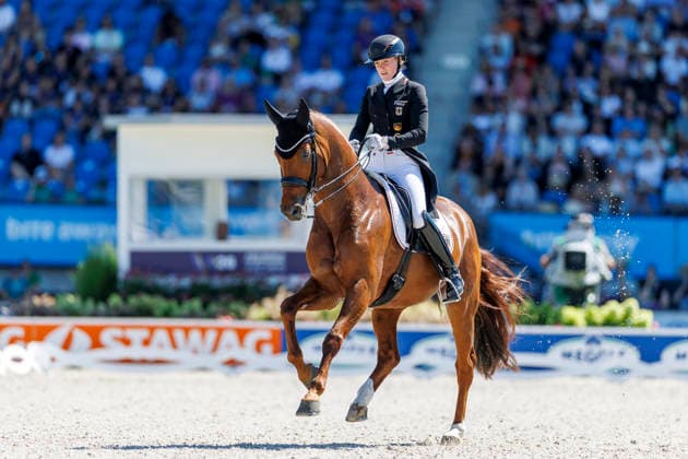 AACHEN - FEI World Championships 2026, AACHEN - FEI World Championships 2026 HEMMER Katharina (GER), Denoix PCH FEI Dressage World Championship, WM, Weltmeisterschaft Grand Prix de Dressage Team Finale & Einzelqualifikation Lambertz-Preis Aachen, Reitstadion Soers 12. August 2026 - *** AACHEN FEI World Championships 2026, AACHEN FEI World Championships 2026 Katharina Hemmer (GER), Denoix (PCH) FEI Dressage World Championship Grand Prix de Dressage Team Final Individual Qualifier Lambertz Prize Aachen, Soers Equestrian Stadium, August 12, 2026