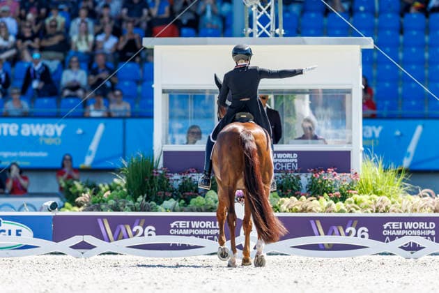 AACHEN - FEI World Championships 2026, AACHEN - FEI World Championships 2026 HEMMER Katharina (GER), Denoix PCH FEI Dressage World Championship, WM, Weltmeisterschaft Grand Prix de Dressage Team Finale & Einzelqualifikation Lambertz-Preis Aachen, Reitstadion Soers 12. August 2026 - *** AACHEN FEI World Championships 2026, AACHEN FEI World Championships 2026 Katharina Hemmer (GER), Denoix (PCH) FEI Dressage World Championship Grand Prix de Dressage Team Final Individual Qualifier Lambertz Prize Aachen, Soers Equestrian Stadium, August 12, 2026