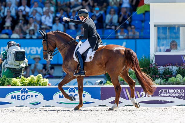 AACHEN - FEI World Championships 2026, AACHEN - FEI World Championships 2026 HEMMER Katharina (GER), Denoix PCH FEI Dressage World Championship, WM, Weltmeisterschaft Grand Prix de Dressage Team Finale & Einzelqualifikation Lambertz-Preis Aachen, Reitstadion Soers 12. August 2026 - *** AACHEN FEI World Championships 2026, AACHEN FEI World Championships 2026 Katharina Hemmer (GER), Denoix (PCH) FEI Dressage World Championship Grand Prix de Dressage Team Final Individual Qualifier Lambertz Prize Aachen, Soers Equestrian Stadium, August 12, 2026