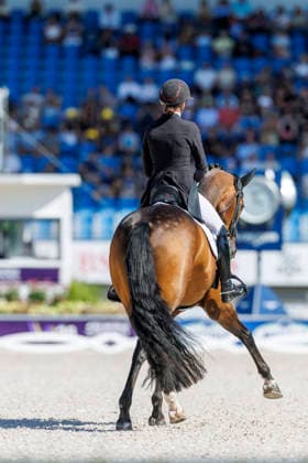 AACHEN - FEI World Championships 2026, AACHEN - FEI World Championships 2026 LAUDRUP-DUFOUR Cathrine (DEN), Mount St John Freestyle FEI Dressage World Championship, WM, Weltmeisterschaft Grand Prix de Dressage Team Finale & Einzelqualifikation Lambertz-Preis Aachen, Reitstadion Soers 12. August 2026 - *** 2026 FEI World Championships in Aachen, Aachen FEI World Championships 2026, Cathrine Laudrup Dufour (DEN), Mount St. John, Freestyle, FEI Dressage World Championship, Grand Prix de Dressage, Team Final, Individual Qualifier, Lambertz Prize Aachen, Soers Equestrian Stadium, August 12, 2026