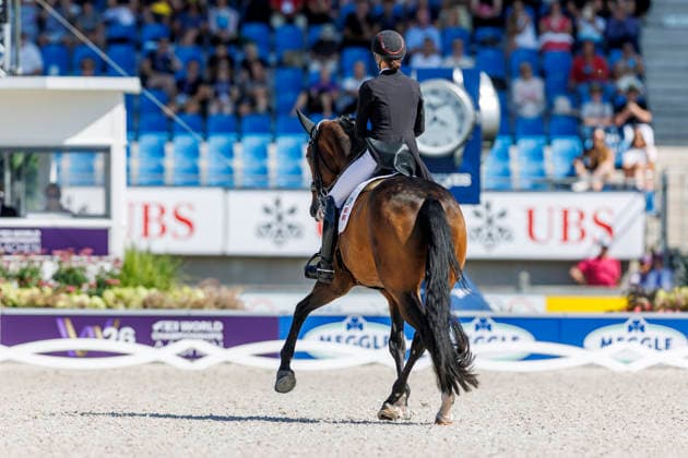 AACHEN - FEI World Championships 2026, AACHEN - FEI World Championships 2026 LAUDRUP-DUFOUR Cathrine (DEN), Mount St John Freestyle FEI Dressage World Championship, WM, Weltmeisterschaft Grand Prix de Dressage Team Finale & Einzelqualifikation Lambertz-Preis Aachen, Reitstadion Soers 12. August 2026 - *** 2026 FEI World Championships in Aachen, Aachen FEI World Championships 2026, Cathrine Laudrup Dufour (DEN), Mount St. John, Freestyle, FEI Dressage World Championship, Grand Prix de Dressage, Team Final, Individual Qualifier, Lambertz Prize Aachen, Soers Equestrian Stadium, August 12, 2026
