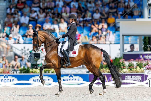 AACHEN - FEI World Championships 2026, AACHEN - FEI World Championships 2026 LAUDRUP-DUFOUR Cathrine (DEN), Mount St John Freestyle FEI Dressage World Championship, WM, Weltmeisterschaft Grand Prix de Dressage Team Finale & Einzelqualifikation Lambertz-Preis Aachen, Reitstadion Soers 12. August 2026 - *** 2026 FEI World Championships in Aachen, Aachen FEI World Championships 2026, Cathrine Laudrup Dufour (DEN), Mount St. John, Freestyle, FEI Dressage World Championship, Grand Prix de Dressage, Team Final, Individual Qualification, Lambertz Prize Aachen, Soers Equestrian Stadium, August 12, 2026
