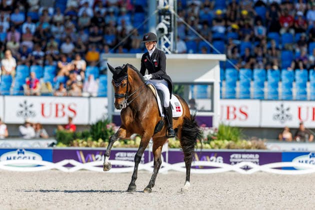 AACHEN - FEI World Championships 2026, AACHEN - FEI World Championships 2026 LAUDRUP-DUFOUR Cathrine (DEN), Mount St John Freestyle FEI Dressage World Championship, WM, Weltmeisterschaft Grand Prix de Dressage Team Finale & Einzelqualifikation Lambertz-Preis Aachen, Reitstadion Soers 12. August 2026 - *** 2026 FEI World Championships in Aachen, Aachen FEI World Championships 2026, Cathrine Laudrup Dufour (DEN), Mount St. John, Freestyle, FEI Dressage World Championship, Grand Prix de Dressage, Team Final, Individual Qualification, Lambertz Prize Aachen, Soers Equestrian Stadium, August 12, 2026
