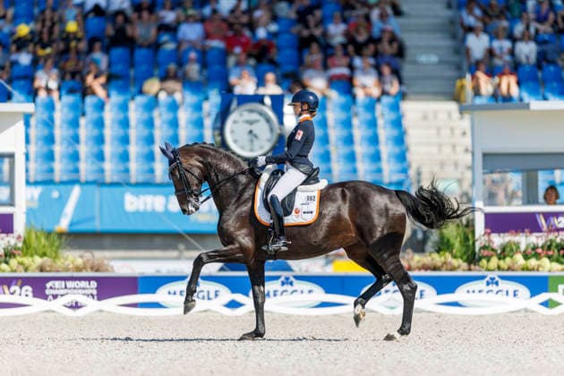 AACHEN - FEI World Championships 2026, AACHEN - FEI World Championships 2026 VAN DER PUTTEN Marieke (NED), Zantana RS2 Old N.O.P. FEI Dressage World Championship, WM, Weltmeisterschaft Grand Prix de Dressage Team Finale & Einzelqualifikation Lambertz-Preis Aachen, Reitstadion Soers 12. August 2026 - *** 2026 FEI World Championships in Aachen, AACHEN FEI World Championships 2026 VAN DER PUTTEN Marieke NED, Zantana RS2 Old N O P FEI Dressage World Championship Grand Prix de Dressage Team Final Individual Qualification Lambertz Prize Aachen, Soers Equestrian Stadium, August 12, 2026