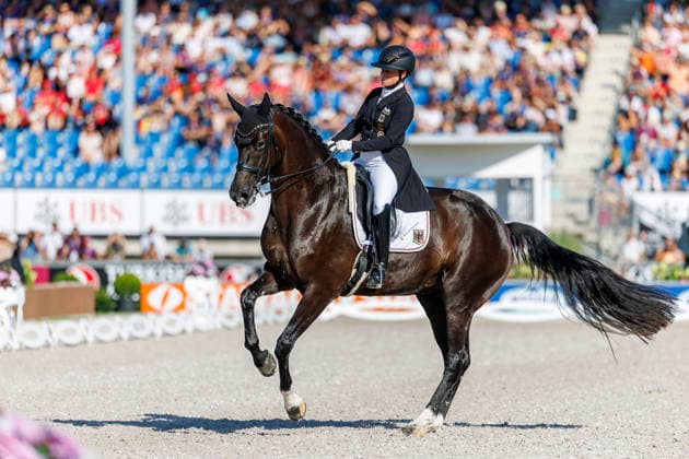 AACHEN - FEI World Championships 2026, AACHEN - FEI World Championships 2026 WERTH Isabell (GER), Wendy de Fontaine FEI Dressage World Championship, WM, Weltmeisterschaft Grand Prix de Dressage Team Finale & Einzelqualifikation Lambertz-Preis Aachen, Reitstadion Soers 12. August 2026 - *** AACHEN FEI World Championships 2026, AACHEN FEI World Championships 2026: Isabell Werth (GER) and Wendy de Fontaine – FEI Dressage World Championship Grand Prix de Dressage Team Final Individual Qualifier, Lambertz Prize Aachen, Soers Equestrian Stadium, August 12, 2026