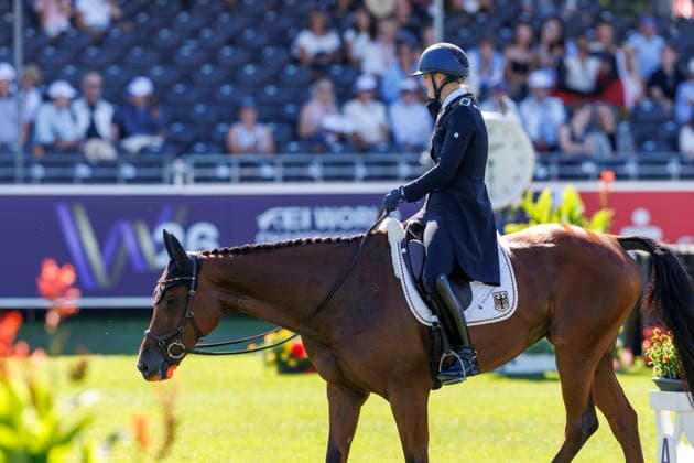 AACHEN - FEI World Championships 2026, AACHEN - FEI World Championships 2026 LUEBBEKE Libussa (GER), Caramia FRH FEI Eventing World Championship, WM, Weltmeisterschaft Dressage Part 1 Team & Individual Aachen, Reitstadion Soers 13. August 2026 - *** AACHEN FEI World Championships 2026, AACHEN FEI World Championships 2026 LUEBBEKE Libussa GER, Caramia FRH FEI Eventing World Championship Dressage Part 1 Team and Individual Aachen, Reitstadion Soers, August 13, 2026