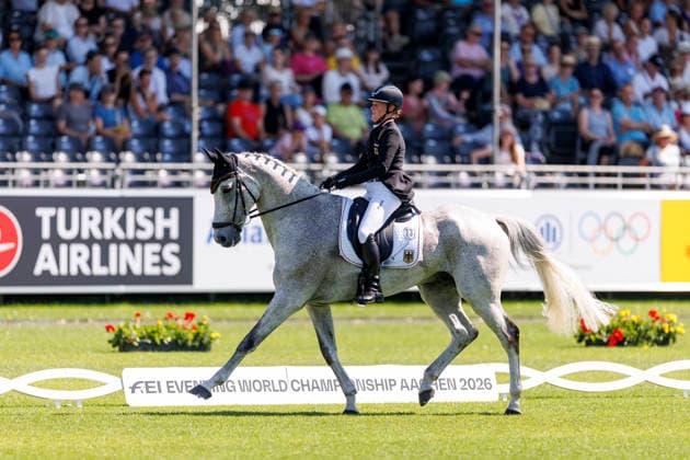 AACHEN - FEI World Championships 2026, AACHEN - FEI World Championships 2026 HANSEN-HOTOPP Malin (GER), Carlitos Quidditch K FEI Eventing World Championship, WM, Weltmeisterschaft Dressage Part 1 Team & Individual Aachen, Reitstadion Soers 13. August 2026 - *** AACHEN FEI World Championships 2026, AACHEN FEI World Championships 2026 HANSEN HOTOPP Malin GER, Carlitos Quidditch K FEI Eventing World Championship Dressage Part 1 Team Individual Aachen, Reitstadion Soers, August 13, 2026