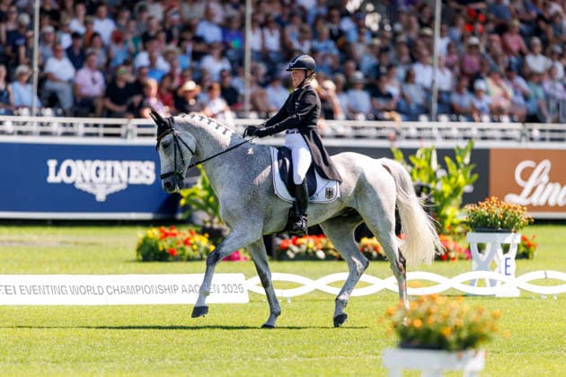 AACHEN - FEI World Championships 2026, AACHEN - FEI World Championships 2026 HANSEN-HOTOPP Malin (GER), Carlitos Quidditch K FEI Eventing World Championship, WM, Weltmeisterschaft Dressage Part 1 Team & Individual Aachen, Reitstadion Soers 13. August 2026 - *** AACHEN FEI World Championships 2026, AACHEN FEI World Championships 2026 HANSEN HOTOPP Malin GER, Carlitos Quidditch K FEI Eventing World Championship Dressage Part 1 Team Individual Aachen, Reitstadion Soers, August 13, 2026
