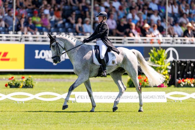 AACHEN - FEI World Championships 2026, AACHEN - FEI World Championships 2026 HANSEN-HOTOPP Malin (GER), Carlitos Quidditch K FEI Eventing World Championship, WM, Weltmeisterschaft Dressage Part 1 Team & Individual Aachen, Reitstadion Soers 13. August 2026 - *** AACHEN FEI World Championships 2026, AACHEN FEI World Championships 2026 HANSEN HOTOPP Malin GER, Carlitos Quidditch K FEI Eventing World Championship Dressage Part 1 Team Individual Aachen, Reitstadion Soers, August 13, 2026