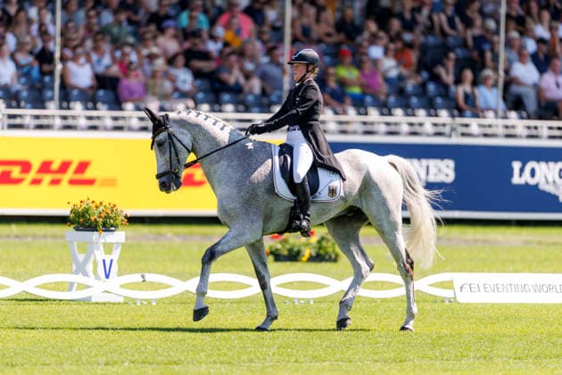 AACHEN - FEI World Championships 2026, AACHEN - FEI World Championships 2026 HANSEN-HOTOPP Malin (GER), Carlitos Quidditch K FEI Eventing World Championship, WM, Weltmeisterschaft Dressage Part 1 Team & Individual Aachen, Reitstadion Soers 13. August 2026 - *** AACHEN FEI World Championships 2026, AACHEN FEI World Championships 2026 HANSEN HOTOPP Malin GER, Carlitos Quidditch K FEI Eventing World Championship Dressage Part 1 Team Individual Aachen, Reitstadion Soers, August 13, 2026