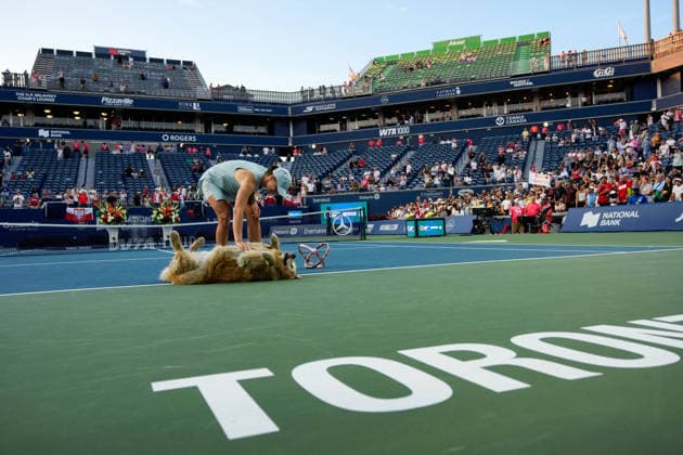 National Bank Open 2026 - Women s Singles Final TORONTO, CANADA - AUGUST 13 : Iga Swiatek of Poland pets the Sobeys Stadium’s resident dog ‘Elway’ after the final round match of WTA, Tennis Damen 1000 National Bank Open in Toronto, Ontario, Canada on August 13, 2026. Mert Alper Dervis Anadolu Ontario Canada. Editorial use only. Please get in touch for any other usage.  Copyright: x2026xAnadoluxMertxAlperxDervisx
