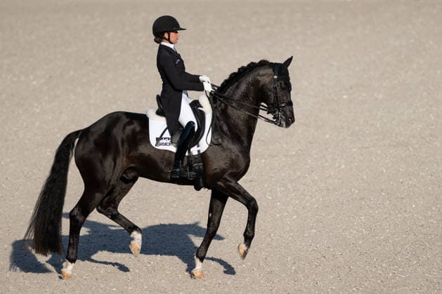 Sport Bilder des Tages 260814 Felicita Simoncic of Austria with horse Four Legends compete in the Dressage Grand Prix Special during day 4 of the 2026 FEI World Championships on August 14, 2026 in Aachen. Photo: Emma Wallskog BILDBYRAN kod EW EW0682 ridsport equestrian rid-vm 2026 2026 fei world championships bbeng ridsport-vm dressage dressyr *** August 14, 2026: Felicita Simoncic of Austria, riding Four Legends, competes in the Dressage Grand Prix Special on Day 4 of the 2026 FEI World Championships on August 14, 2026 in Aachen. Photo by Emma Wallskog, BILDBYRAN, code EW EW0682, equestrian sports, 2026 World Championships, 2026 FEI World Championships, BBENG, equestrian sports, World Championships, dressage  Copyright: EMMAxWALLSKOG BB260814EW001