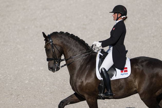 260814 Nadja Aaboe Sloth of Denmark with horse Favour Gersdorf compete in the Dressage Grand Prix Special during day 4 of the 2026 FEI World Championships on August 14, 2026 in Aachen. Photo: Emma Wallskog BILDBYRAN kod EW EW0682 ridsport equestrian rid-vm 2026 2026 fei world championships bbeng ridsport-vm dressage dressyrdanmark denmark *** August 14, 2026: Nadja Aaboe Sloth of Denmark, riding Favour Gersdorf, competes in the Dressage Grand Prix Special on Day 4 of the 2026 FEI World Championships on August 14, 2026 in Aachen. Photo by Emma Wallskog, BILDBYRAN, code EW EW0682. equestrian sports, 2026 World Championships, 2026 FEI World Championships, BBENG, equestrian sports, World Championships, dressage, Denmark  Copyright: EMMAxWALLSKOG BB260814EW007