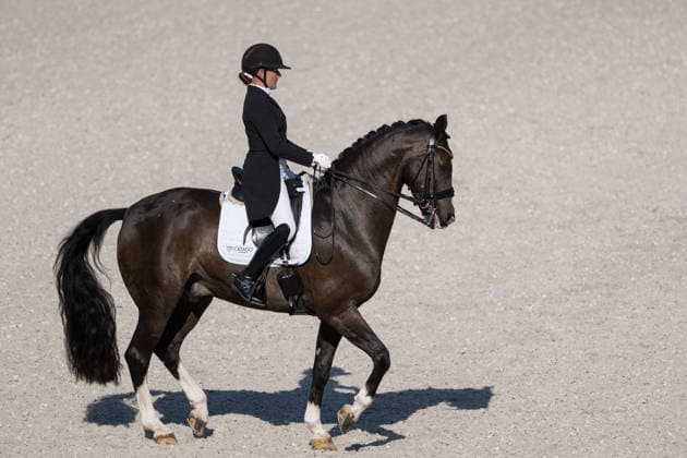 260814 Nadja Aaboe Sloth of Denmark with horse Favour Gersdorf compete in the Dressage Grand Prix Special during day 4 of the 2026 FEI World Championships on August 14, 2026 in Aachen. Photo: Emma Wallskog BILDBYRAN kod EW EW0682 ridsport equestrian rid-vm 2026 2026 fei world championships bbeng ridsport-vm dressage dressyrdanmark denmark *** August 14, 2026: Nadja Aaboe Sloth of Denmark, riding Favour Gersdorf, competes in the Dressage Grand Prix Special on Day 4 of the 2026 FEI World Championships on August 14, 2026 in Aachen. Photo by Emma Wallskog, BILDBYRAN, code EW EW0682. equestrian sports, 2026 World Championships, 2026 FEI World Championships, BBENG, equestrian sports, World Championships, dressage, Denmark  Copyright: EMMAxWALLSKOG BB260814EW008
