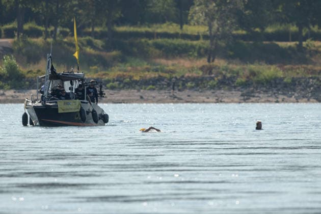 Nathalie Pohl schwimmt vierte Etappe von Bad Honnef nach Köln - 14.08.2026 Die Extremschwimmerin Nathalie POHL schwimmt bei ihrer Rhein-Aktion RIVERS die vierte und letzte Etappe von Bad Honnef nach Köln rund 200 Kilometer in vier Tagen für mehr Schwimmsicherheit von Kindern. Die Etappe führt über den vom historischen Niedrigwasser geplagten Rhein. Bonn-Mehlem in Höhe des Drachenfels in Königswinter Bonn Mehlem Nordrhein-Westfalen Deutschland *** Nathalie Pohl Swims the Fourth Leg from Bad Honnef to Cologne, August 14, 2026. As part of her Rhine initiative, RIVERS, extreme swimmer Nathalie Pohl is swimming the fourth and final leg from Bad Honnef to Cologne—a distance of about 200 kilometers—over four days to promote swimmingfor children. The stage follows the Rhine—which has been plagued by historically low water levels—through Bonn-Mehlem near the Drachenfels in Königswinter, Bonn-Mehlem, North Rhine-Westphalia, Germany Copyright: xMarcxJohnx