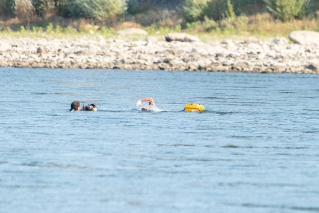 Nathalie Pohl schwimmt vierte Etappe von Bad Honnef nach Köln - 14.08.2026 Die Extremschwimmerin Nathalie POHL schwimmt bei ihrer Rhein-Aktion RIVERS die vierte und letzte Etappe von Bad Honnef nach Köln rund 200 Kilometer in vier Tagen für mehr Schwimmsicherheit von Kindern. Die Etappe führt über den vom historischen Niedrigwasser geplagten Rhein.Bonn-Mehlem in Höhe des Drachenfels in Königswinter Bonn Mehlem Nordrhein-Westfalen Deutschland *** Nathalie Pohl Swims the Fourth Leg from Bad Honnef to Cologne, August 14, 2026. As part of her Rhine campaign, RIVERS, extreme swimmer Nathalie Pohl is swimming the fourth and final leg from Bad Honnef to Cologne—a distance of about 200 kilometers—in four days to promote swimmingfor children. The stage follows the Rhine—which has been plagued by historically low water levels—through Bonn-Mehlem near the Drachenfels in Königswinter, Bonn-Mehlem, North Rhine-Westphalia, Germany Copyright: xMarcxJohnx