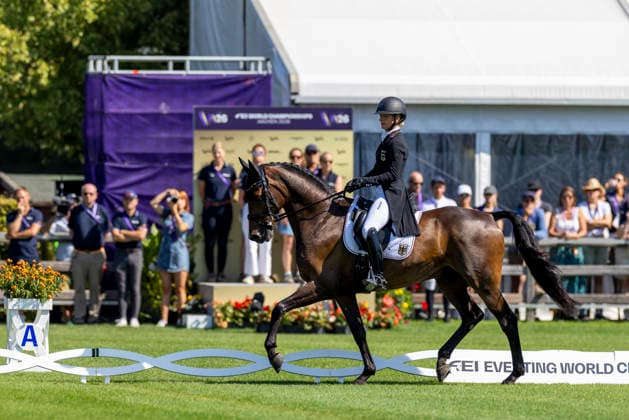 AACHEN - FEI World Championships 2026, AACHEN - FEI World Championships 2026 KRAJEWSKI Julia (GER), Uelzener s Nickel FEI Eventing World Championship, WM, Weltmeisterschaft Dressage Part 2 Team & Individual Aachen, Reitstadion Soers 14. August 2026 - HOLST-Holsteiner Verband *** 2026 FEI World Championships in Aachen, AACHEN FEI World Championships 2026 KRAJEWSKI Julia GER, Uelzener’s Nickel FEI Eventing World Championship Dressage Part 2 Team and Individual Aachen, Soers Equestrian Stadium, August 14, 2026 HOLST Holsteiner Verband