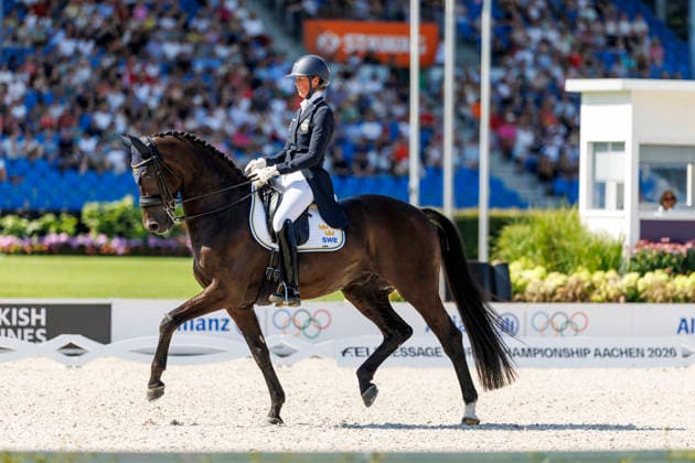 AACHEN - FEI World Championships 2026, AACHEN - FEI World Championships 2026 VON ESSEN Maria (SWE), Invoice FEI Dressage World Championship, WM, Weltmeisterschaft Grand Prix Special Individual Meggle Prize Aachen, Reitstadion Soers 14. August 2026 - *** AACHEN FEI World Championships 2026, AACHEN FEI World Championships 2026 BY ESSEN Maria SWE, Invoice FEI Dressage World Championship Grand Prix Special Individual Meggle Prize Aachen, Soers Equestrian Stadium, August 14, 2026