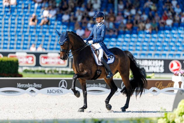 AACHEN - FEI World Championships 2026, AACHEN - FEI World Championships 2026 PEARCE Simone (AUS), Will Marq FEI Dressage World Championship, WM, Weltmeisterschaft Grand Prix Special Individual Meggle Prize Aachen, Reitstadion Soers 14. August 2026 - *** AACHEN FEI World Championships 2026, AACHEN FEI World Championships 2026 PEARCE Simone AUS, Will Marq FEI Dressage World Championship Grand Prix Special Individual Meggle Prize Aachen, Soers Equestrian Stadium, August 14, 2026