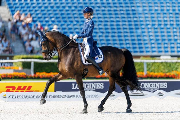 AACHEN - FEI World Championships 2026, AACHEN - FEI World Championships 2026 PEARCE Simone (AUS), Will Marq FEI Dressage World Championship, WM, Weltmeisterschaft Grand Prix Special Individual Meggle Prize Aachen, Reitstadion Soers 14. August 2026 - *** AACHEN FEI World Championships 2026, AACHEN FEI World Championships 2026 PEARCE Simone AUS, Will Marq FEI Dressage World Championship Grand Prix Special Individual Meggle Prize Aachen, Soers Equestrian Stadium, August 14, 2026