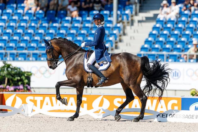 AACHEN - FEI World Championships 2026, AACHEN - FEI World Championships 2026 PEARCE Simone (AUS), Will Marq FEI Dressage World Championship, WM, Weltmeisterschaft Grand Prix Special Individual Meggle Prize Aachen, Reitstadion Soers 14. August 2026 - *** AACHEN FEI World Championships 2026, AACHEN FEI World Championships 2026 PEARCE Simone AUS, Will Marq FEI Dressage World Championship Grand Prix Special Individual Meggle Prize Aachen, Soers Equestrian Stadium, August 14, 2026