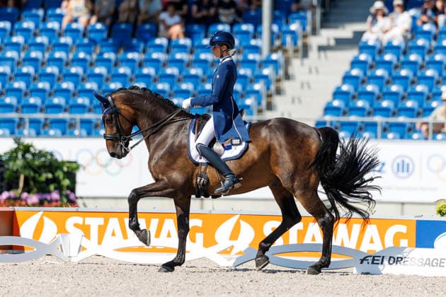 AACHEN - FEI World Championships 2026, AACHEN - FEI World Championships 2026 PEARCE Simone (AUS), Will Marq FEI Dressage World Championship, WM, Weltmeisterschaft Grand Prix Special Individual Meggle Prize Aachen, Reitstadion Soers 14. August 2026 - *** AACHEN FEI World Championships 2026, AACHEN FEI World Championships 2026 PEARCE Simone AUS, Will Marq FEI Dressage World Championship Grand Prix Special Individual Meggle Prize Aachen, Soers Equestrian Stadium, August 14, 2026
