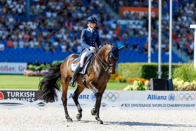 AACHEN - FEI World Championships 2026, AACHEN - FEI World Championships 2026 PEARCE Simone (AUS), Will Marq FEI Dressage World Championship, WM, Weltmeisterschaft Grand Prix Special Individual Meggle Prize Aachen, Reitstadion Soers 14. August 2026 - *** AACHEN FEI World Championships 2026, AACHEN FEI World Championships 2026 PEARCE Simone AUS, Will Marq FEI Dressage World Championship Grand Prix Special Individual Meggle Prize Aachen, Soers Equestrian Stadium, August 14, 2026