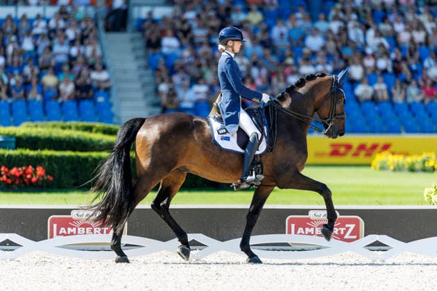 AACHEN - FEI World Championships 2026, AACHEN - FEI World Championships 2026 PEARCE Simone (AUS), Will Marq FEI Dressage World Championship, WM, Weltmeisterschaft Grand Prix Special Individual Meggle Prize Aachen, Reitstadion Soers 14. August 2026 - *** AACHEN FEI World Championships 2026, AACHEN FEI World Championships 2026 PEARCE Simone AUS, Will Marq FEI Dressage World Championship Grand Prix Special Individual Meggle Prize Aachen, Soers Equestrian Stadium, August 14, 2026