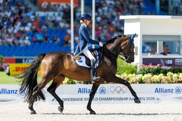 AACHEN - FEI World Championships 2026, AACHEN - FEI World Championships 2026 PEARCE Simone (AUS), Will Marq FEI Dressage World Championship, WM, Weltmeisterschaft Grand Prix Special Individual Meggle Prize Aachen, Reitstadion Soers 14. August 2026 - *** AACHEN FEI World Championships 2026, AACHEN FEI World Championships 2026 PEARCE Simone AUS, Will Marq FEI Dressage World Championship Grand Prix Special Individual Meggle Prize Aachen, Soers Equestrian Stadium, August 14, 2026