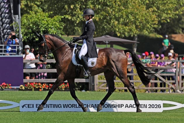 Julia Krajewski (GER, Deutschland, Germany) mit Pferd Uelzeners Nickel, Nickel, Teilprüfung Dressur, Vielseitigkeit Dressur, FEI Eventing World Championship, WM, Weltmeisterschaft , DHL-Preis, Einzel Mannschaft , AACHEN - FEI World Championships 2026, Weltfest des Pferdesports, Reitsport Weltmeisterschaft 2026, Aachen 2026, Welcome Home 2026, Aachener Soers, 11. bis 23. August 2026, Reitsport, 14.08.2026, Aachen Aachener Soers Deutschland *** Julia Krajewski GER, Germany, riding Uelzeners Nickel, Nickel, Dressage test, Eventing Dressage, FEI Eventing World Championship, DHL Prize, Individual and Team, AACHEN FEI World Championships 2026, World Festival of Equestrian Sports, 2026 Equestrian World Championships, Aachen 2026, Welcome Home 2026, Aachen Soers, August 11–23, 2026, Equestrian Sports, August 14, 2026, Aachen Soers, Germany