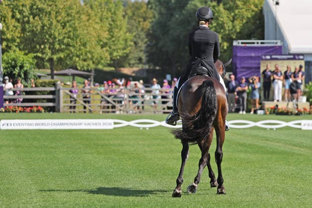 Julia Krajewski (GER, Deutschland, Germany) mit Pferd Uelzeners Nickel, Nickel, Teilprüfung Dressur, Vielseitigkeit Dressur, FEI Eventing World Championship, WM, Weltmeisterschaft , DHL-Preis, Einzel Mannschaft , AACHEN - FEI World Championships 2026, Weltfest des Pferdesports, Reitsport Weltmeisterschaft 2026, Aachen 2026, Welcome Home 2026, Aachener Soers, 11. bis 23. August 2026, Reitsport, 14.08.2026, Aachen Aachener Soers Deutschland *** Julia Krajewski GER, Germany, riding Uelzeners Nickel, Nickel, Dressage test, Eventing Dressage, FEI Eventing World Championship, DHL Prize, Individual and Team, AACHEN FEI World Championships 2026, World Equestrian Festival, 2026 World Equestrian Games, Aachen 2026, Welcome Home 2026, Aachen Soers, August 11–23, 2026, Equestrian Sports, August 14, 2026, Aachen Soers, Germany