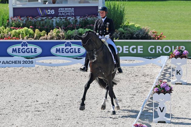 4. Platz Isabell Werth (GER, Deutschland, Germany) mit Pferd Wendy de Fontaine, Dressur, FEI Dressage World Championship, WM, Weltmeisterschaft MEGGLE-Preis, Grand Prix Special, Einzelwertung , AACHEN - FEI World Championships 2026, Weltfest des Pferdesports, Reitsport Weltmeisterschaft 2026, Aachen 2026, Welcome Home 2026, Aachener Soers, 11. bis 23. August 2026, Reitsport, 14.08.2026, Aachen Aachener Soers Deutschland *** 4th place: Isabell Werth (GER), Germany, riding Wendy de Fontaine, Dressage, FEI Dressage World Championship MEGGLE Prize, Grand Prix Special, Individual Competition, AACHEN FEI World Championships 2026, World Equestrian Festival, 2026 World Equestrian Games, Aachen 2026, Welcome Home 2026, Aachen Soers, August 11–23, 2026, Equestrian Sports, August 14, 2026, Aachen Soers, Germany