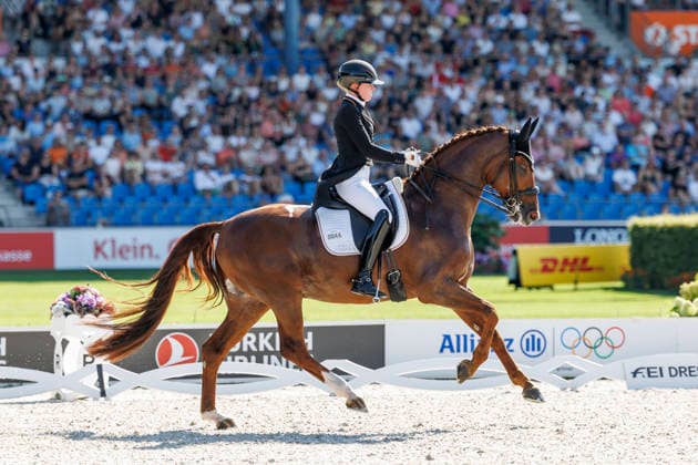 AACHEN - FEI World Championships 2026, AACHEN - FEI World Championships 2026 HEMMER Katharina (GER), Denoix PCH FEI Dressage World Championship, WM, Weltmeisterschaft Grand Prix Special Individual Meggle Prize Aachen, Reitstadion Soers 14. August 2026 - *** AACHEN FEI World Championships 2026, AACHEN FEI World Championships 2026 HEMMER Katharina GER, Denoix PCH FEI Dressage World Championship Grand Prix Special Individual Meggle Prize Aachen, Soers Equestrian Stadium, August 14, 2026