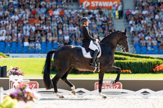 AACHEN - FEI World Championships 2026, AACHEN - FEI World Championships 2026 WERTH Isabell (GER), Wendy de Fontaine FEI Dressage World Championship, WM, Weltmeisterschaft Grand Prix Special Individual Meggle Prize Aachen, Reitstadion Soers 14. August 2026 - *** AACHEN FEI World Championships 2026, AACHEN FEI World Championships 2026 Isabell Werth (GER), Wendy de Fontaine FEI Dressage World Championship Grand Prix Special Individual Meggle Prize Aachen, Soers Equestrian Stadium, August 14, 2026