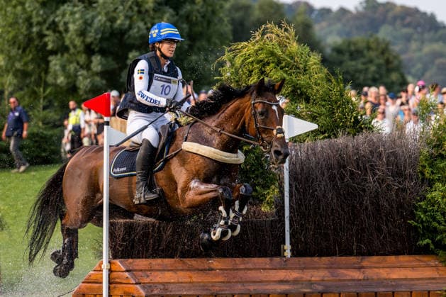 260815 Sofia Sjöborg of Sweden with horse Bryjamolga van het Marienshof compete in the Eventing Cross-Country during day 5 of the 2026 FEI World Championships on August 15, 2026 in Aachen. Photo: Emma Wallskog BILDBYRAN kod EW EW0685 ridsport equestrian rid-vm 2026 2026 fei world championships bbeng ridsport-vm fälttävlan eventing terrängritt terräng sweden sverige *** August 15, 2026: Sofia Sjöborg of Sweden, riding Bryjamolga van het Marienshof, competes in the Eventing Cross Country on Day 5 of the 2026 FEI World Championships in Aachen. 2026 in Aachen. Photo by Emma Wallskog, BILDBYRAN, code EW EW0685. equestrian sports, riding, 2026 World Championships, 2026 FEI World Championships, BBENG, equestrian sports, World Championships, eventing, cross-country, Sweden  Copyright: EMMAxWALLSKOG BB260815EW020