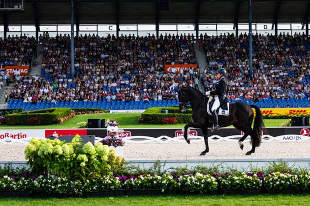 260815 Henri Ruoste of Finland with horse Tiffanys Diamond compete in the Dressage Grand Prix Freestyle during day 5 of the 2026 FEI World Championships on August 15, 2026 in Aachen. Photo: Emma Wallskog BILDBYRAN kod EW EW0684 ridsport equestrian rid-vm 2026 2026 fei world championships bbeng ridsport-vm dressage dressyr kur *** August 15, 2026: Henri Ruoste of Finland, riding Tiffanys Diamond, competes in the Dressage Grand Prix Freestyle on Day 5 of the 2026 FEI World Championships in Aachen. 2026 in Aachen. Photo by Emma Wallskog, BILDBYRAN, code EW EW0684, equestrian sports, 2026 World Championships, 2026 FEI World Championships, BBENG, equestrian sports, World Championships, dressage, freestyle routine  Copyright: EMMAxWALLSKOG BB260815EW095