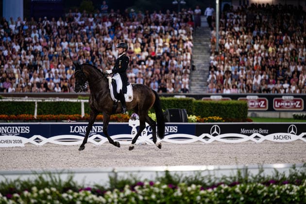 260815 Raphael Netz of Germany with horse Great Escape Camelot compete in the Dressage Grand Prix Freestyle during day 5 of the 2026 FEI World Championships on August 15, 2026 in Aachen. Photo: Emma Wallskog BILDBYRAN kod EW EW0684 ridsport equestrian rid-vm 2026 2026 fei world championships bbeng ridsport-vm dressage dressyr kur *** August 15, 2026: Raphael Netz of Germany, riding Great Escape Camelot, competes in the Dressage Grand Prix Freestyle on Day 5 of the 2026 FEI World Championships on August 15, 2026 in Aachen. Photo by Emma Wallskog. BILDBYRAN code EW EW0684 equestrian sports 2026 World Championships 2026 FEI World Championships BBENG equestrian sports World Championships dressage freestyle routine  Copyright: EMMAxWALLSKOG BB260815EW122