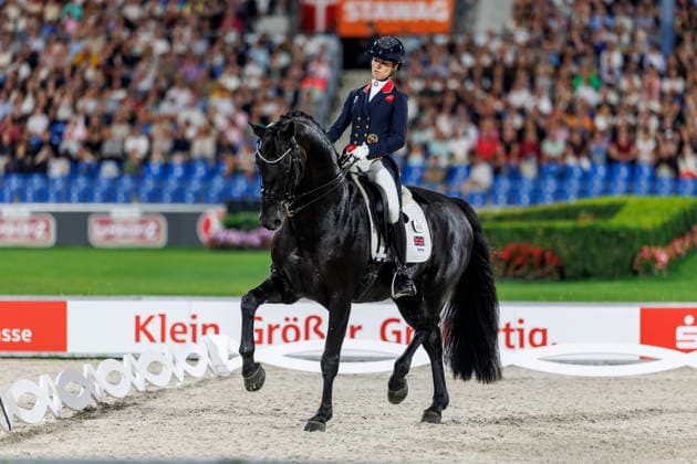 AACHEN - FEI World Championships 2026, AACHEN - FEI World Championships 2026 FRY Charlotte (GBR), Glamourdale FEI Dressage World Championship, WM, Weltmeisterschaft Freestyle Kür Individual Lindt Prize Aachen, Reitstadion Soers 15. August 2026 - *** Aachen FEI World Championships 2026, Aachen FEI World Championships 2026 FRY Charlotte GBR, Glamourdale FEI Dressage World Championship Freestyle Individual Lindt Prize Aachen, Soers Equestrian Stadium, August 15, 2026