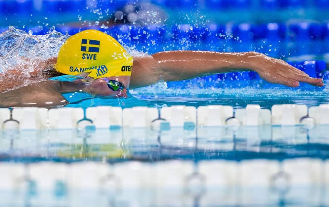 260816 Victor Sandrup of Sweden competes in men™s 400 meters freestyle swimming heats during day 17 of the 2026 European Aquatics Championships on August 16, 2026 in Saint-Denis. Photo: Joel Marklund BILDBYRAN kod JM JM0845 bbeng simning swimming svomming 2026 european aquatics championships em Sverige Sweden *** August 16, 2026: Victor Sandrup of Sweden competes in the men’s 400-meter freestyle swimming heats during Day 17 of the 2026 European Aquatics Championships on August 16, 2026 in Saint-Denis. Photo by Joel Marklund, BILDBYRAN, code JM JM0845 bbeng swimming 2026 European Aquatics Championships EM Sweden  Copyright: JOELxMARKLUND BB260816JM021