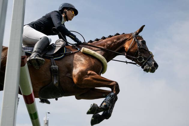 260816 Sofia Sjöborg of Sweden with horse Bryjamolga van het Marienshof compete in the Eventing Show Jumping Final during day 6 of the 2026 FEI World Championships on August 16, 2026 in Aachen. Photo: Emma Wallskog BILDBYRAN kod EW EW0687 ridsport equestrian rid-vm 2026 2026 fei world championships bbeng ridsport-vm fälttävlan eventing *** August 16, 2026: Sofia Sjöborg of Sweden, riding Bryjamolga van het Marienshof, competes in the Eventing Show Jumping Final on Day 6 of the 2026 FEI World Championships, 2026 in Aachen. Photo by Emma Wallskog, BILDBYRAN, code EW EW0687. equestrian sports, riding, 2026 World Championships, 2026 FEI World Championships, BBENG, equestrian sports, World Championships, eventing  Copyright: EMMAxWALLSKOG BB260816EW085