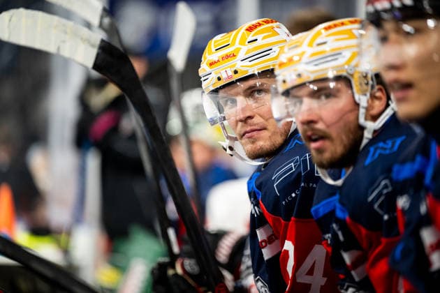 16.08.2026 - Eishockey - Saison 2026 2027 - Penny DEL - Public Practice der Nürnberg Ice Tigers Icetigers - ThHa - xthxhax - Marcus Weber (24, Nürnberg Ice Tigers, NIT ) *** August 16, 2026, 2026–2027 Ice Hockey Season, Penny DEL, Nuremberg Ice Tigers Public Practice, Icetigers ThHa xthxhax, Marcus Weber, 24, Nuremberg Ice Tigers, NIT