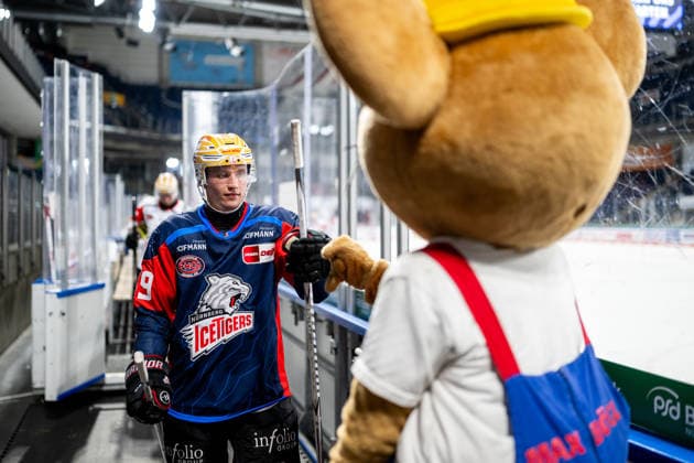 16.08.2026 - Eishockey - Saison 2026 2027 - Penny DEL - Public Practice der Nürnberg Ice Tigers Icetigers - ThHa - xthxhax - Maxmaus (Maskottchen, Firma Max Bögl ), Thomas Heigl (49, Nürnberg Ice Tigers, NIT ) *** August 16, 2026, 2026–2027 Ice Hockey Season, Penny DEL, Nuremberg Ice Tigers Public Practice, Icetigers ThHa xthxhax, Maxmaus Mascot, Max Bögl Company, Thomas Heigl 49, Nuremberg Ice Tigers, NIT