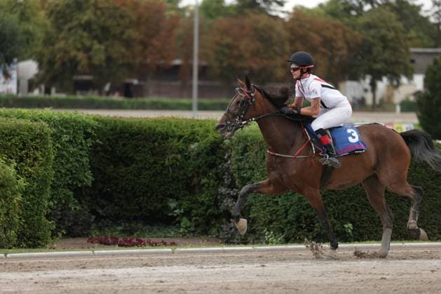 Eine Jockeyerin reitet auf dem braunen Pferd mit Startnummer 3 im Galopp über die Sandbahn der Rennbahn Berlin Mariendorf. Pferd und Reiterin passieren die begrünte Hecke auf der Innenseite der Bahn. Jockey auf Pferd 3 im Galopp auf der Rennbahn Mariendorf *** A female jockey is galloping on the bay horse with start number 3 across the sand track at the Berlin Mariendorf Racetrack. The horse and jockey are passing the green hedge on the inside of the track. Jockey on horse 3 galloping at the Mariendorf Racetrack Copyright: xspeedshotx