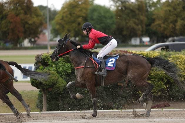 Ein Jockey in roter Jacke und weißer Hose reitet Pferd 2 in vollem Galopp auf der Sandbahn in Mariendorf, aufgewirbelter Sand und ein weiteres Pferd links im Bild. Die Szene zeigt einen intensiven Rennmoment mit sichtbarer Dynamik. Jockey ( 2) im Galopp auf der Rennbahn Berlin Mariendorf *** A jockey in a red jacket and white pants is riding Horse 2 at full gallop on the sand track in Mariendorf; sand is flying up, and another horse is visible on the left side of the image. The scene captures an intense moment in the race with visible dynamism. Jockey 2 is galloping on the Berlin Mariendorf racetrack. Copyright: xspeedshotx