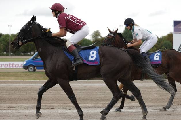 Zwei Jockeys auf ihren Pferden im Galopp auf der Sandbahn der Rennbahn Berlin Mariendorf. Pferd 8 liegt knapp vor Pferd 6, beide Reiter in voller Rennaction. Jockey auf Pferd 8 führt das Rennen auf der Rennbahn Berlin Mariendorf *** Two jockeys on their horses galloping on the sand track at the Berlin Mariendorf Racetrack. Horse 8 is just ahead of Horse 6; both riders are in full racing action. The jockey on Horse 8 is leading the race at the Berlin Mariendorf Racetrack. Copyright: xspeedshotx