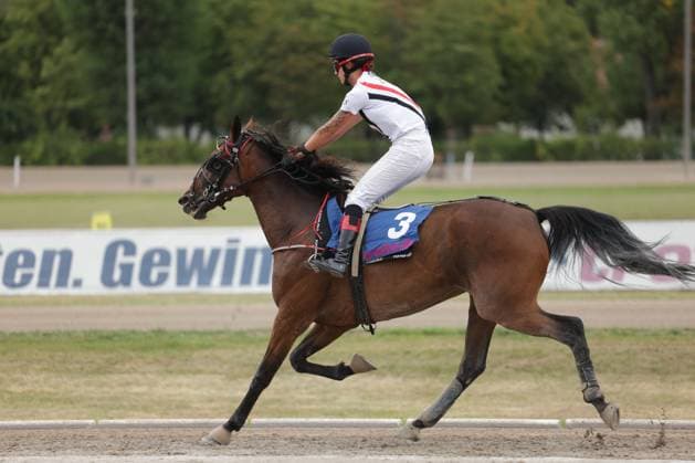 Ein Jockey in weißer Rennkleidung reitet Pferd Nummer 3 in vollem Galopp über die Sandbahn in Mariendorf. Das braune Pferd streckt sich dynamisch aus, im Hintergrund sind Werbebanden und Bäume zu sehen. Jockey mit Startnummer 3 im Galopp auf der Rennbahn Berlin Mariendorf *** A jockey in white racing attire rides horse number 3 at full gallop across the sand track in Mariendorf. The brown horse stretches out dynamically; advertising banners and trees can be seen in the background. Jockey with start number 3 galloping on the Berlin Mariendorf racetrack Copyright: xspeedshotx
