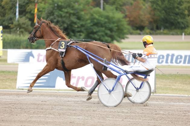 Ein Fahrer im orangeweißen Dress lenkt das Pferd mit Startnummer 3 im vollen Lauf über die Sandbahn der Rennbahn Berlin Mariendorf. Das Gespann mit blauem Sulky und dem Sponsor-Logo trotto.de ist in dynamischer Seitenansicht festgehalten. Trabrennen auf der Rennbahn Berlin Mariendorf – Startnummer 3 im Galopp *** A driver in an orange-and-white outfit guides horse No. 3 at full speed across the sand track at the Berlin Mariendorf Racetrack. The team, with its blue sulky and the trotte de sponsor logo, is captured in a dynamic side view. Trotting race at the Berlin Mariendorf Racetrack – Horse No. 3 at a gallop Copyright: xspeedshotx