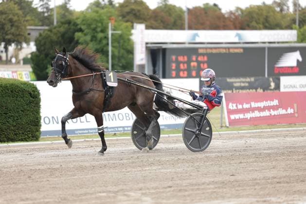Ein dunkelbraunes Traber-Pferd mit der Startnummer 1 zieht einen Sulky mit Fahrer über die Sandbahn der Rennbahn Berlin Mariendorf. Im Hintergrund sind die Anzeigetafel und Werbebanden der Anlage sichtbar. Trabrennen Startnummer 1 im Galopp auf der Rennbahn Berlin Mariendorf *** A dark brown trotter with start number 1 pulls a sulky with a driver across the sand track at the Berlin Mariendorf Racetrack. In the background, the track’s scoreboard and advertising banners are visible. Trot race, start number 1, galloping at the Berlin Mariendorf Racetrack. Copyright: xspeedshotx