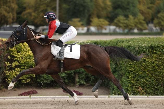 Eine Jockeyrin mit rot-schwarzem Dress und Startnummer 1 reitet ein braunes Vollblut in vollem Galopp über die Sandbahn der Rennbahn Berlin Mariendorf. Das Pferd zeigt eine gestreckte Galoppphase, Sandkrümel fliegen unter den Hufen auf. Jockey mit Startnummer 1 im vollen Galopp auf der Rennbahn Mariendorf *** A female jockey in a red-and-black outfit and wearing start number 1 is riding a bay Thoroughbred at full gallop across the sand track at the Berlin Mariendorf Racetrack. The horse is in a long, extended gallop, grains of sand fly up from beneath the hooves as the jockey with start number 1 gallops at full speed on the Mariendorf racetrack Copyright: xspeedshotx